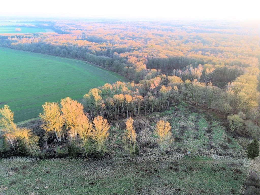 Grundstück in Loitz b Demmin, Foto 2